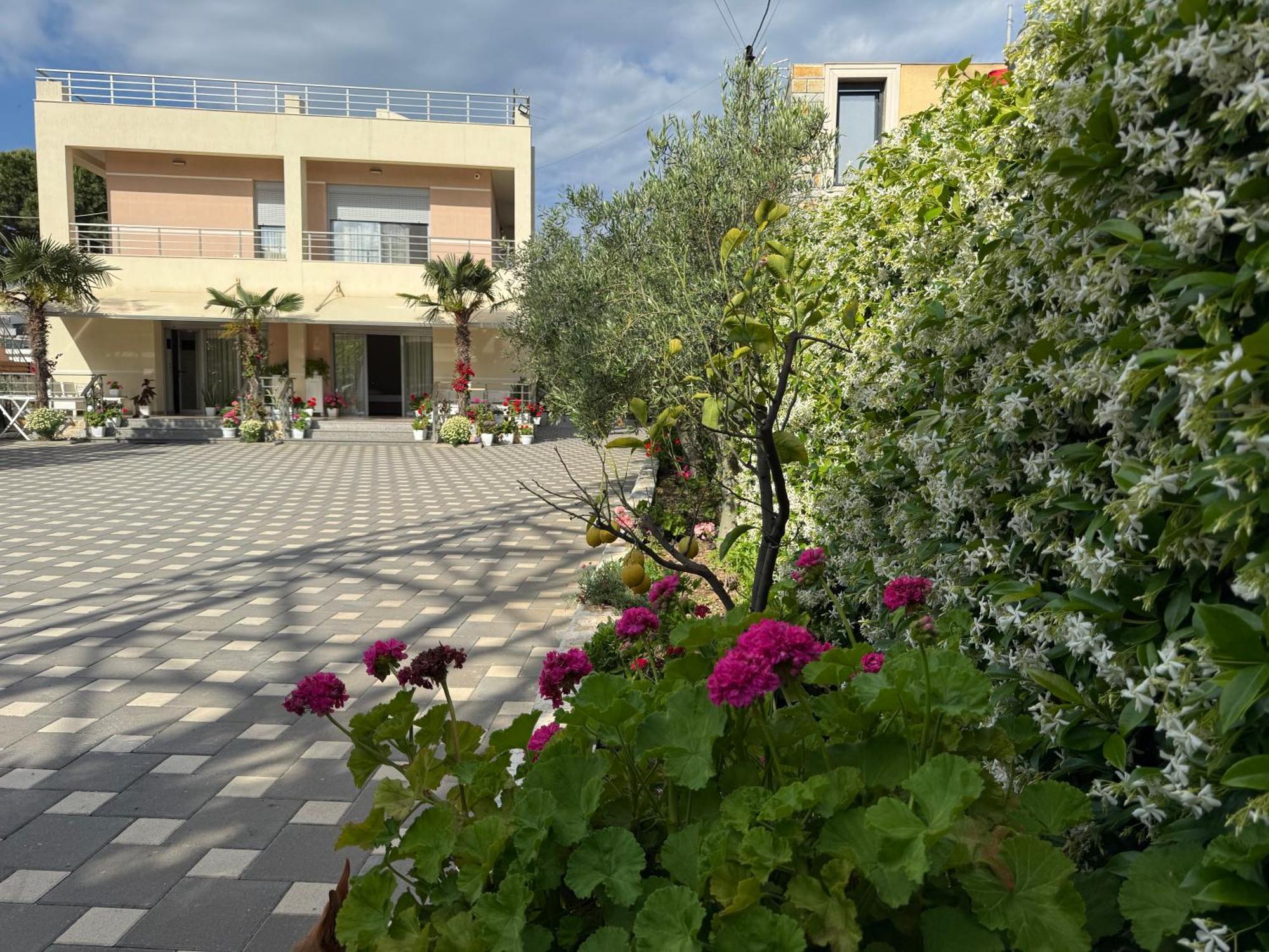 Pensión Arial Trinity Vlorë